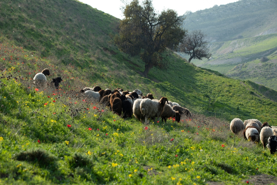 WhatsApp Image 2025-10-13 at 16.56.40.jpeg