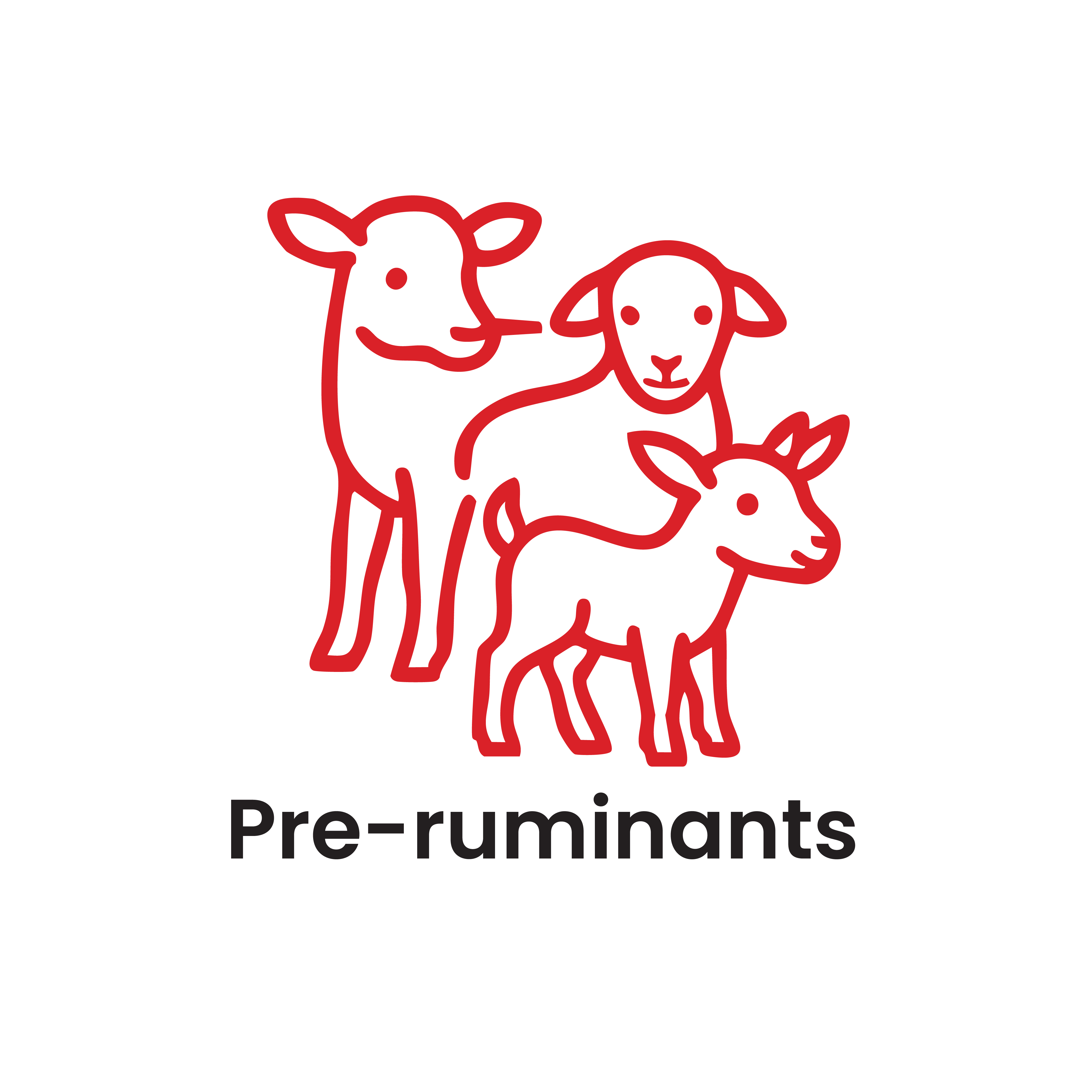 Pre-Ruminants
