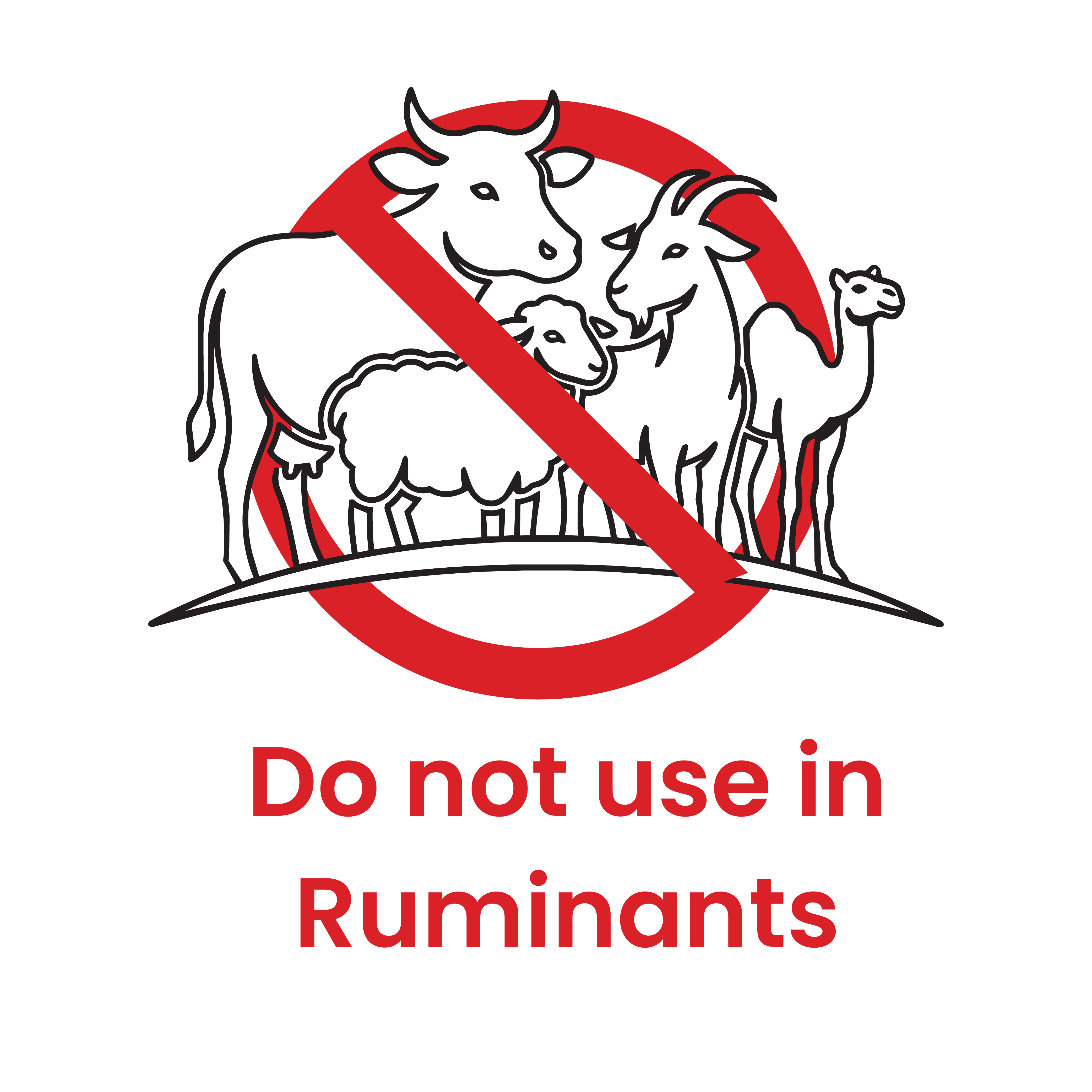Ruminants