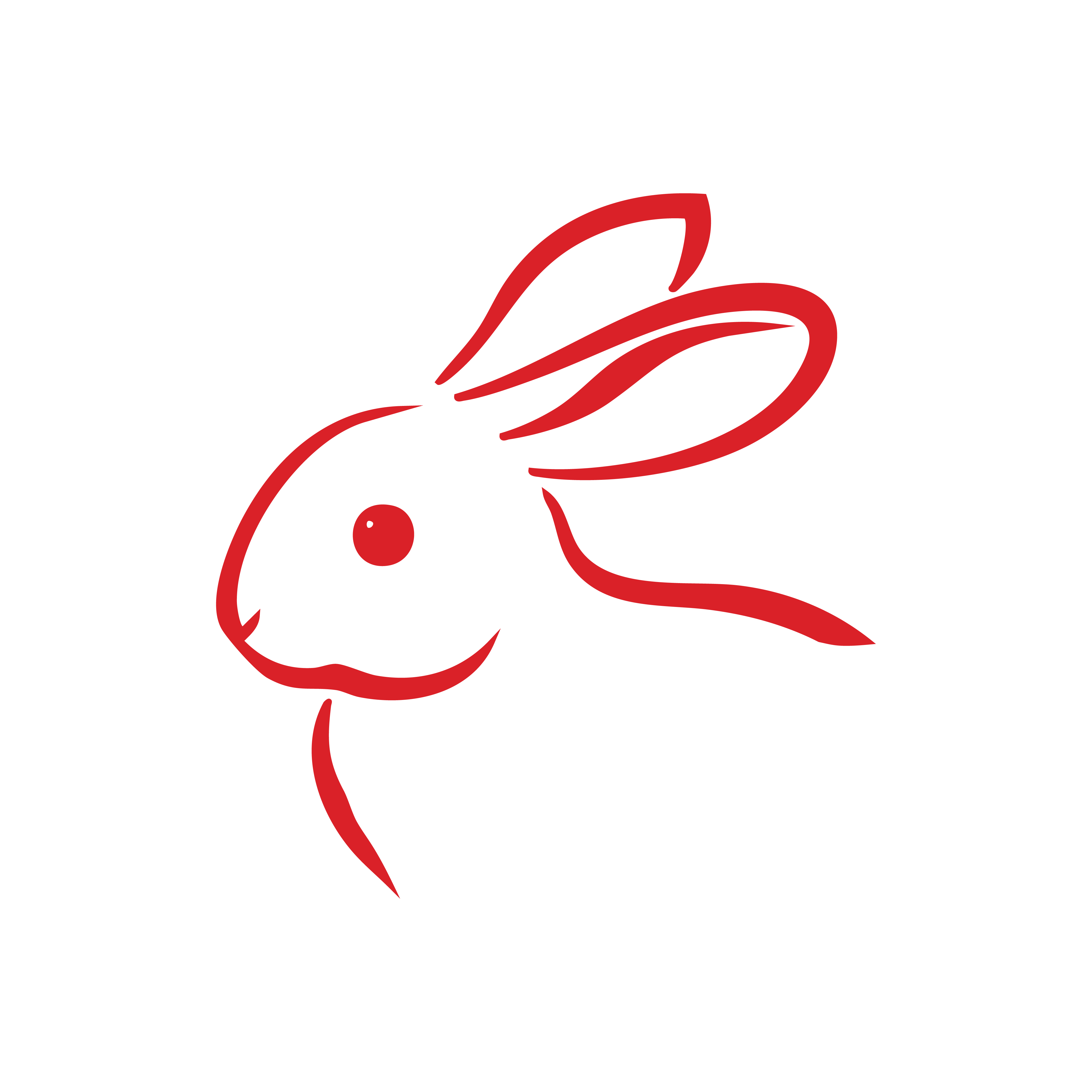 Rabbit 