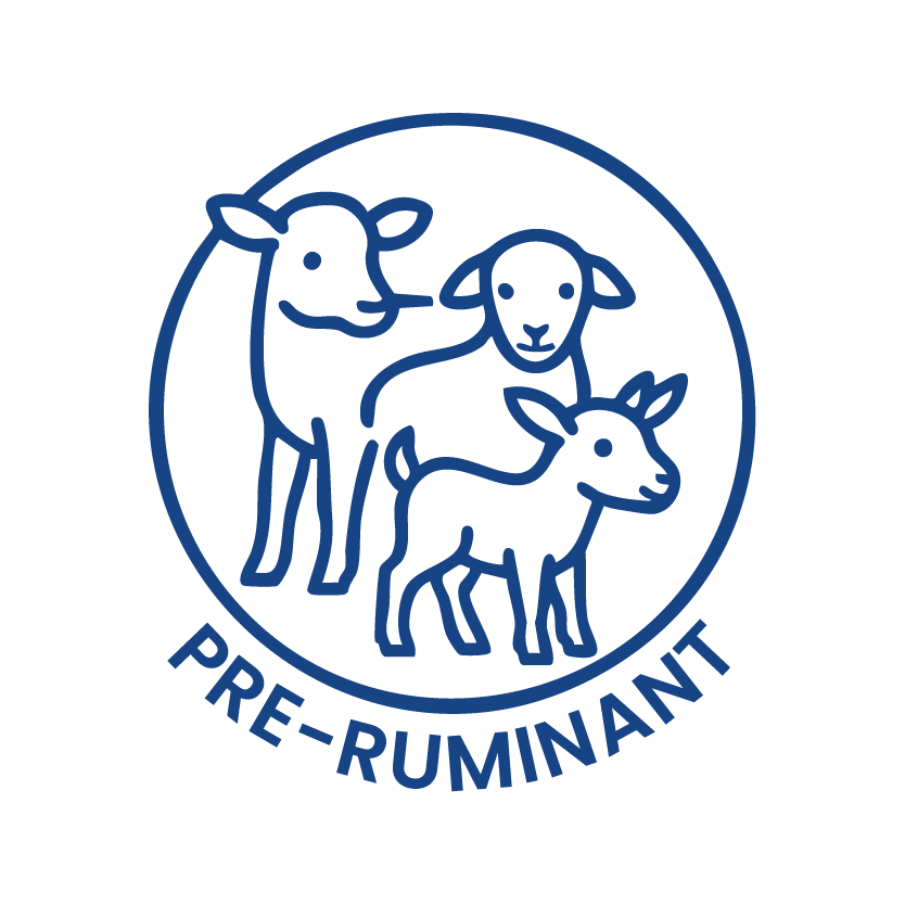 Pre-Ruminants