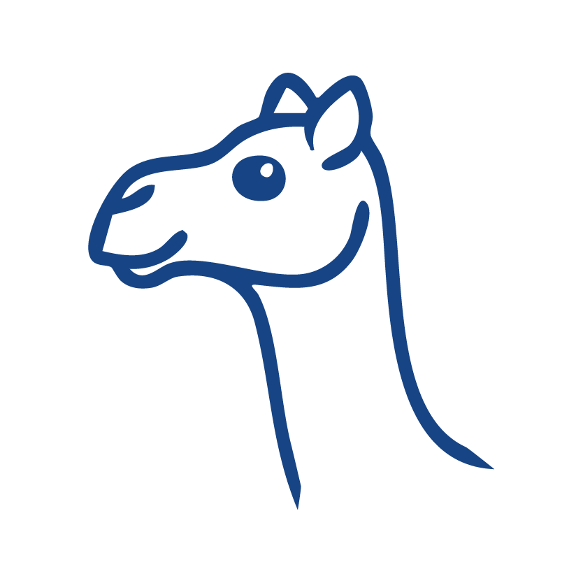 camel 