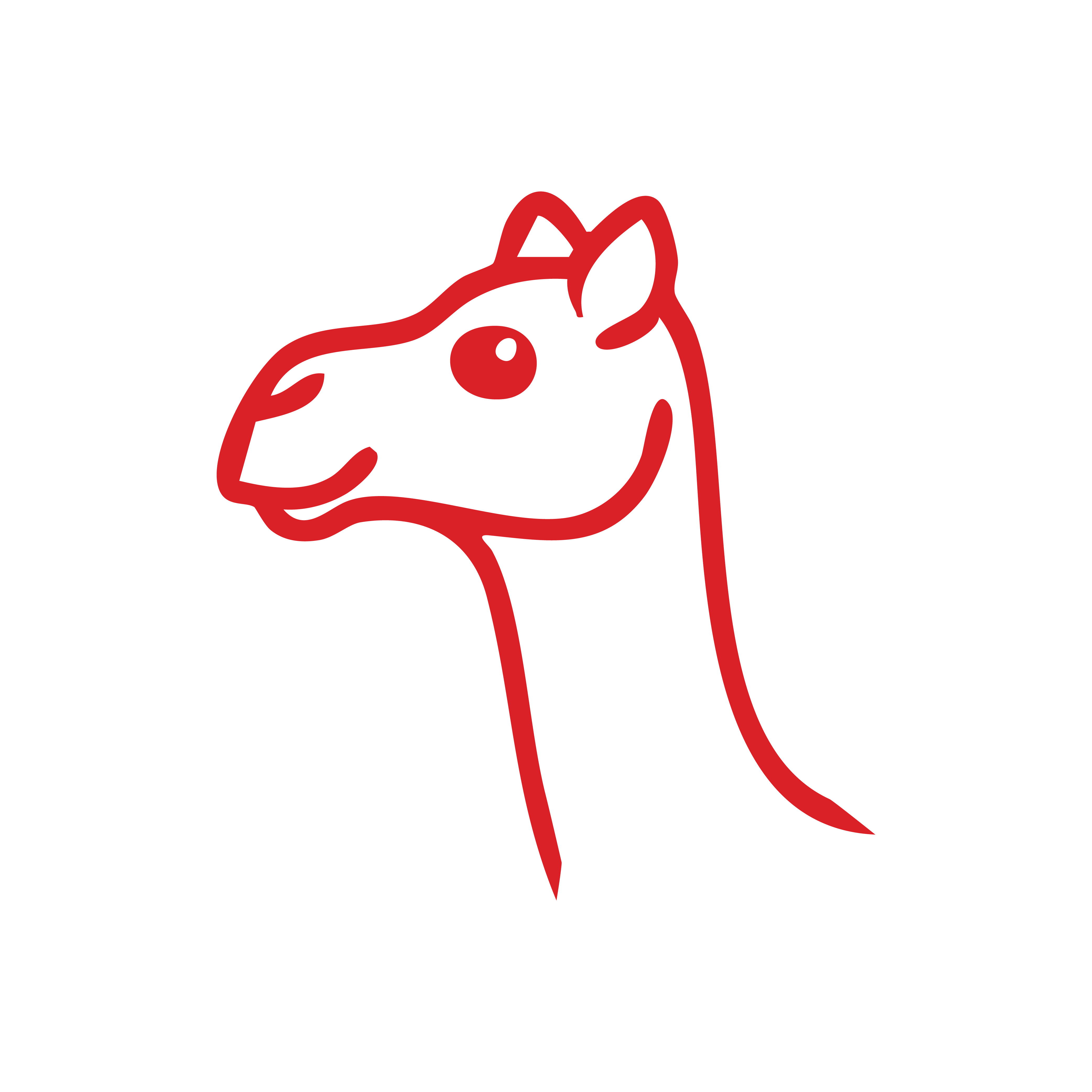 Camel 