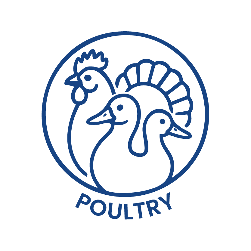 Poultry